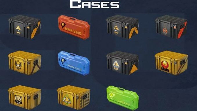 Cases